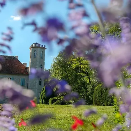 Chateau Les Estournels Villa